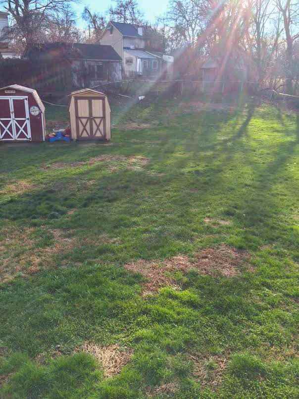 804 Main St - Photo 2 of 2