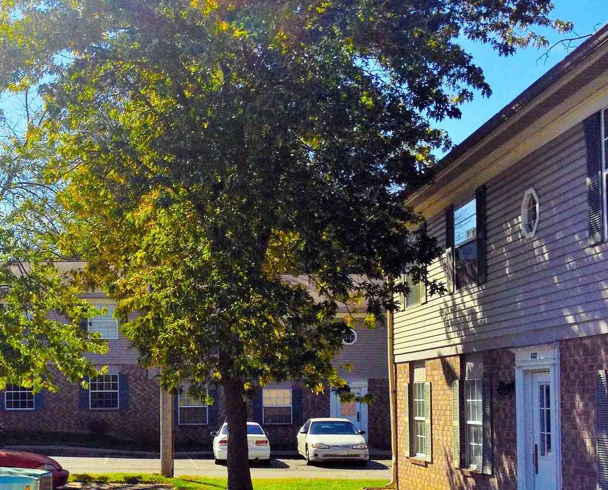 Lakeside at Walnut Hills. - Photo 4 of 12