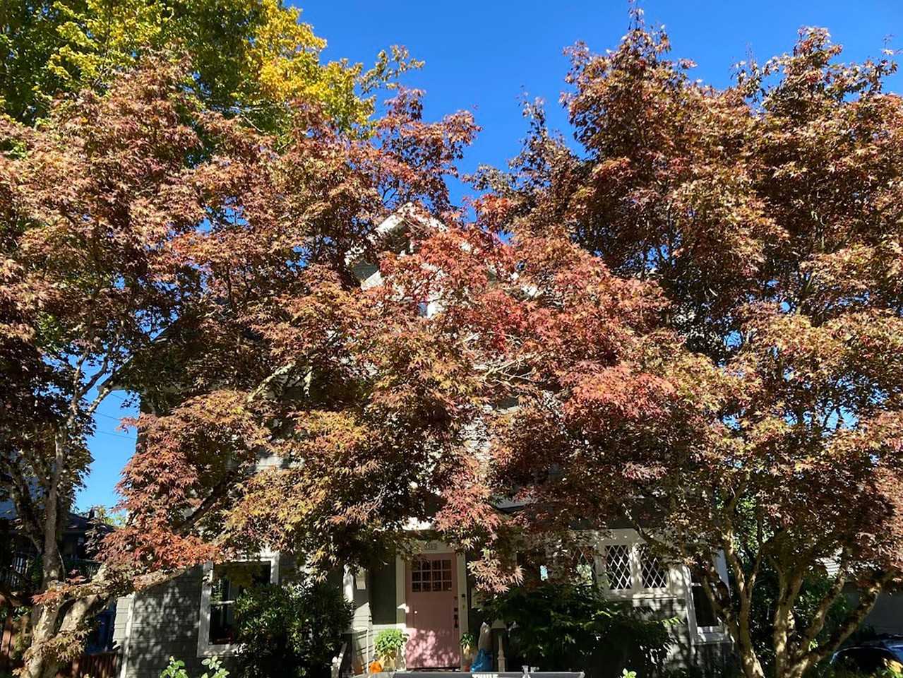 3309 Northwest Thurman Street - Photo 2 of 36