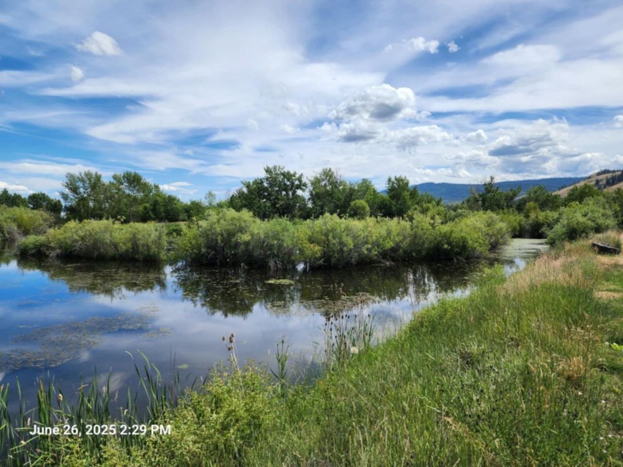 61468 Blackhawk Trail Lane - Photo 2 of 21