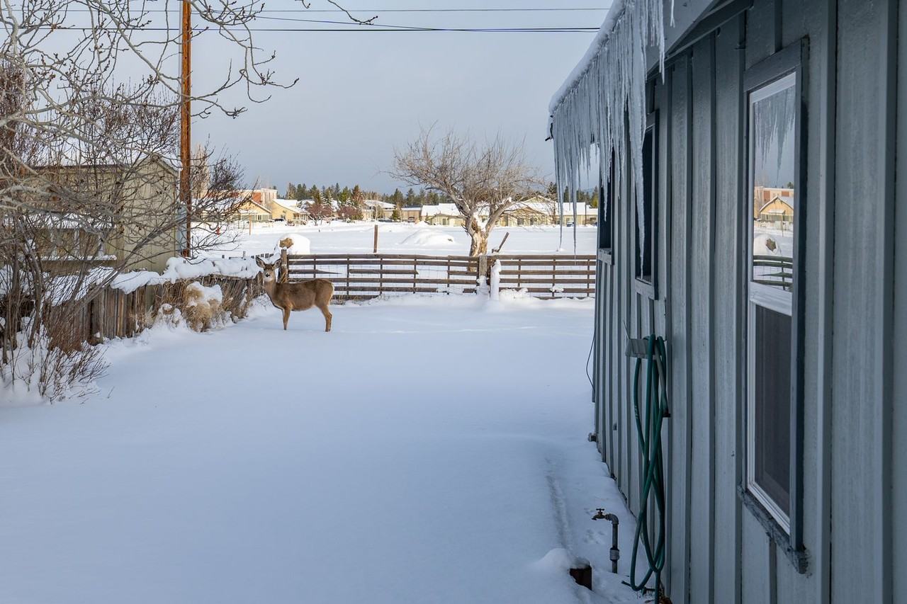 454 E Adams Ave - Photo 3 of 24