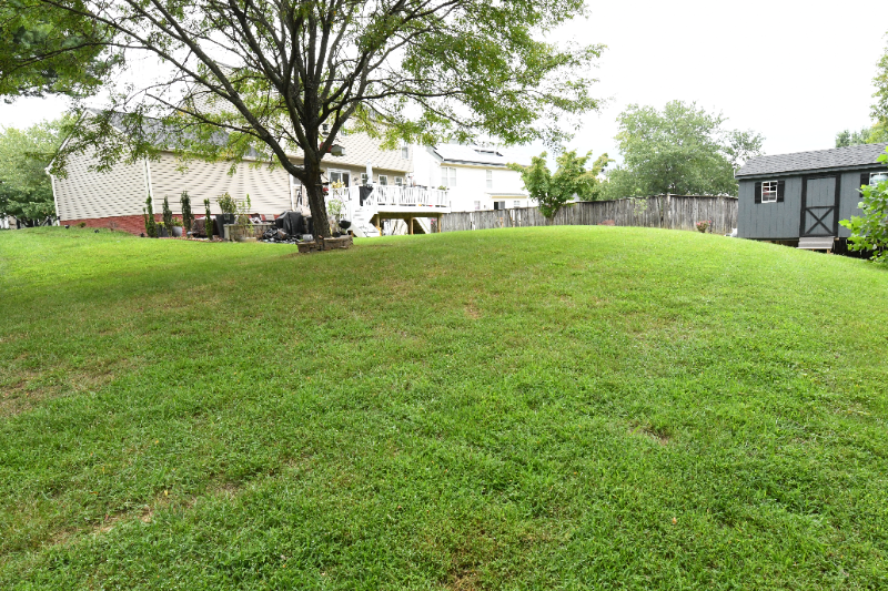 3308 Altair Ln - Photo 4 of 49