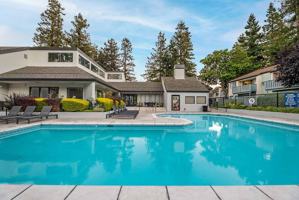 featured image of 3707 Poinciana Drive