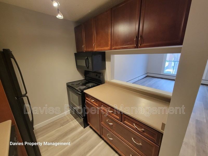 10326 117 St Nw #302 - Photo 6 of 10