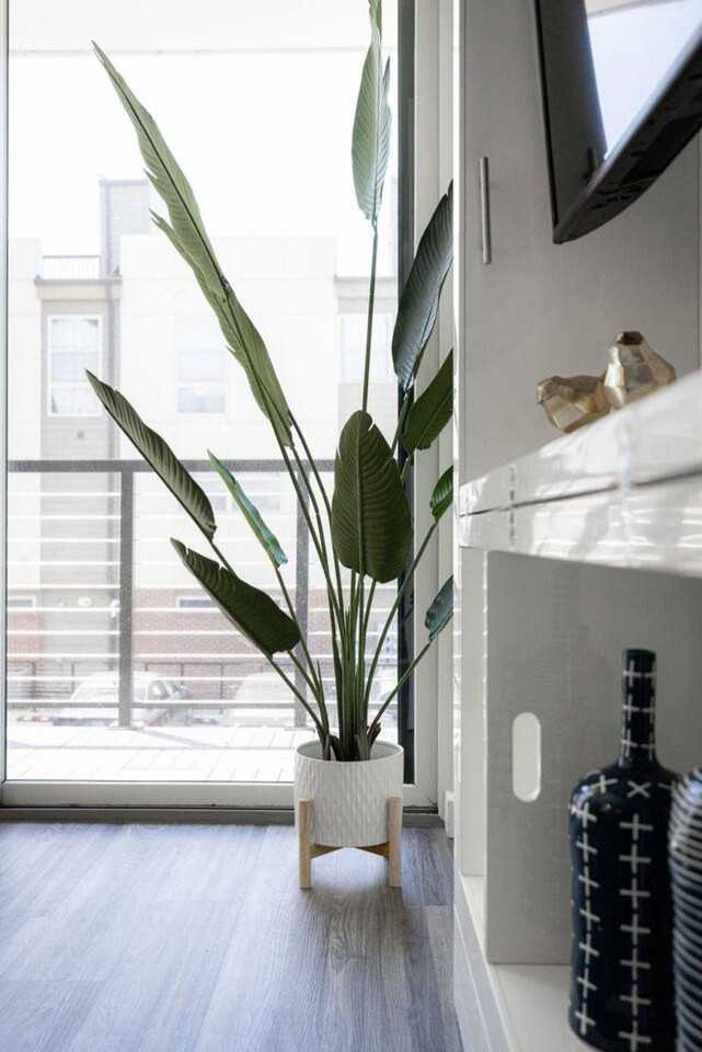 12607 Larchmere Blvd #1335753P - Photo 4 of 31