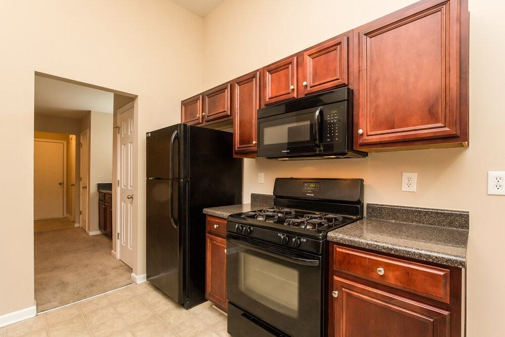 4202 Cedar Tree Run - Photo 5 of 15