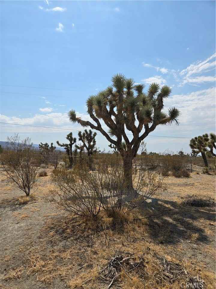 12285 Golden View Rd #12285 - Photo 3 of 21