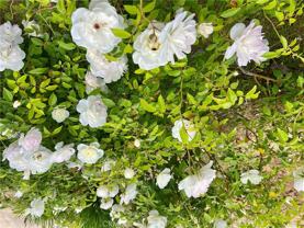 28723 Conejo View Drive #28723 - Photo 1 of 1