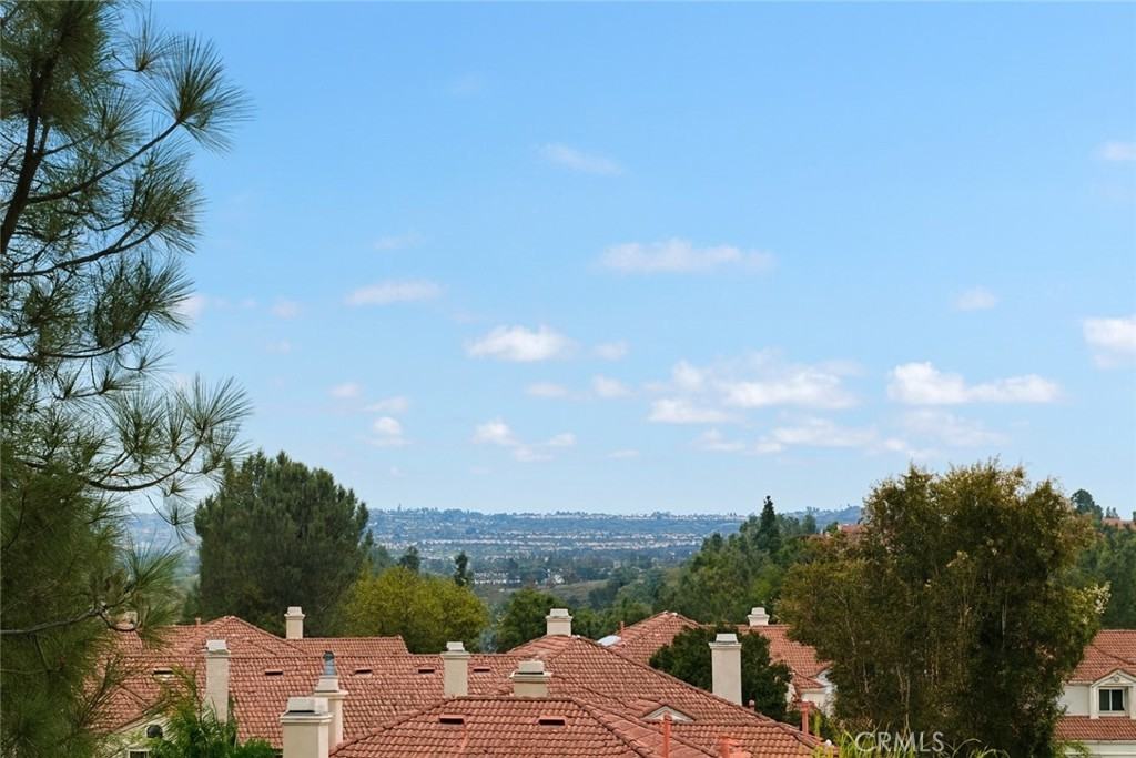 24 Michelangelo #24 - Photo 5 of 26