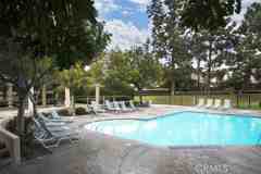 46 Shooting Star #46 - Photo 1 of 1