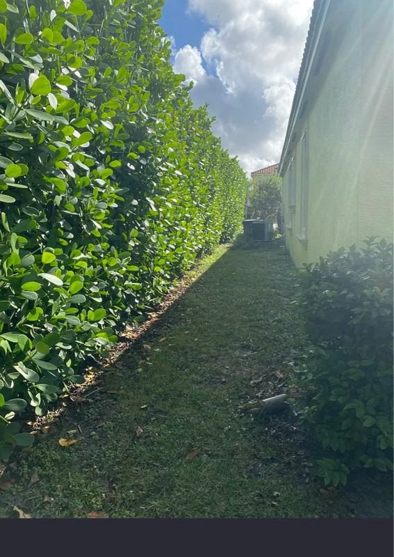 3109 Payson Way - Photo 6 of 6