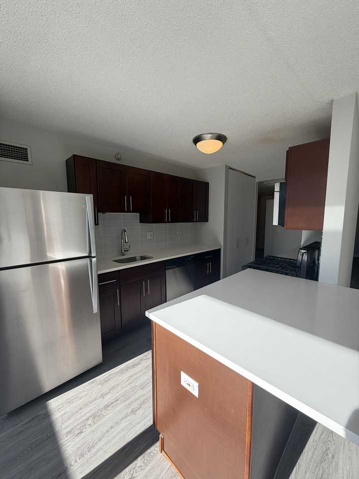 509 North Dearborn Street #2001 - Photo 2 of 21