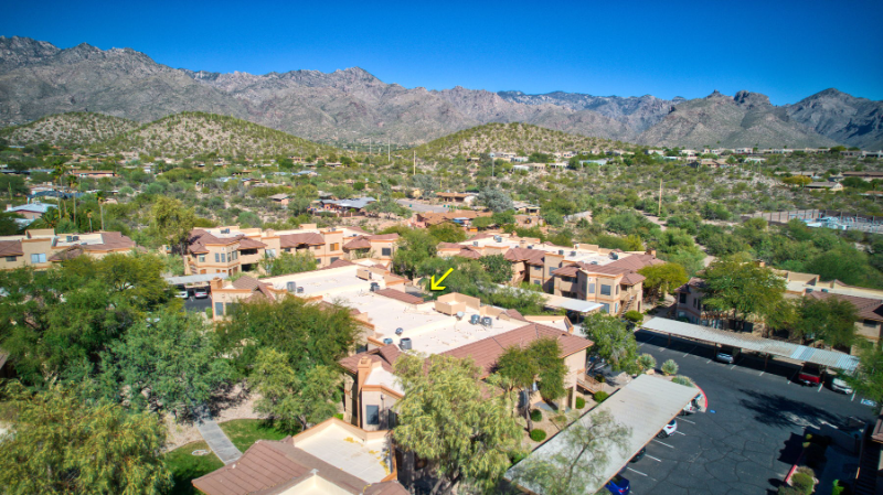 7255 East Snyder Road #6203 - Photo 6 of 48