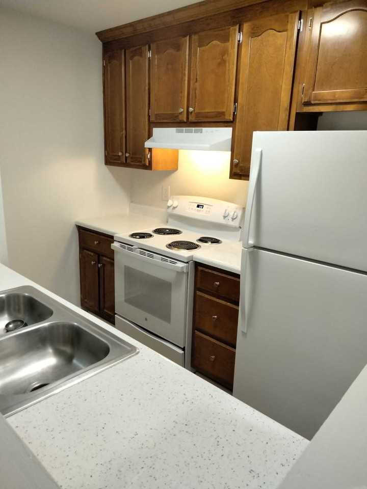 The Perch on Commonwealth - Photo 2 of 9