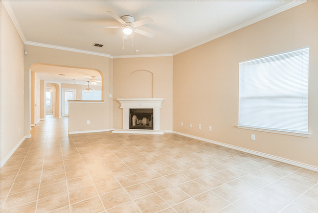 11034 Arabian Palm #NA - Photo 3 of 17