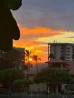 featured image of 45 Stephen Lane #816