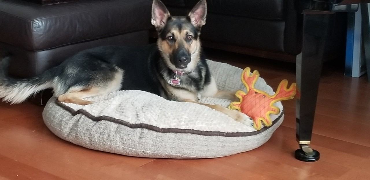 33055 Dolphin Ct - Photo 5 of 9