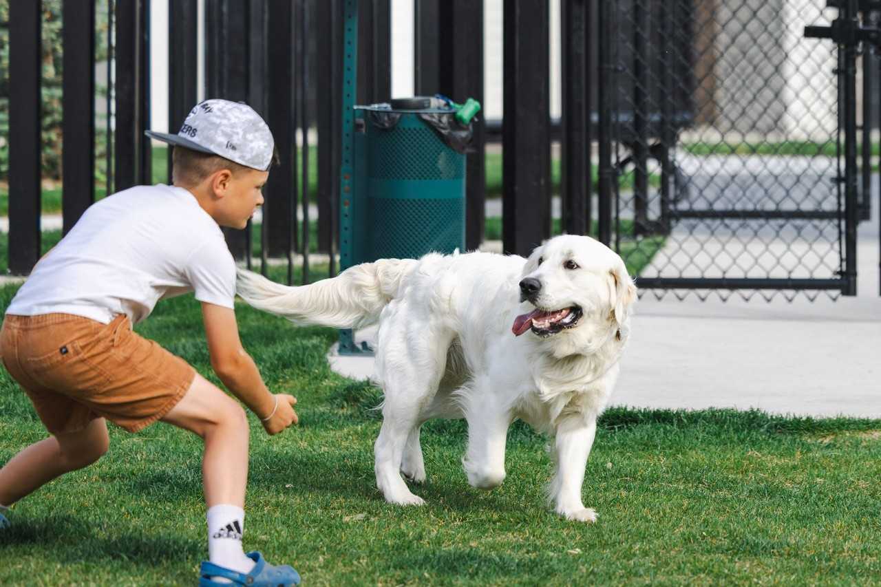 Lofts at River Point - Photo 6 of 11