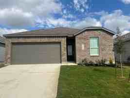 featured image of 2669 Gallic Rooster