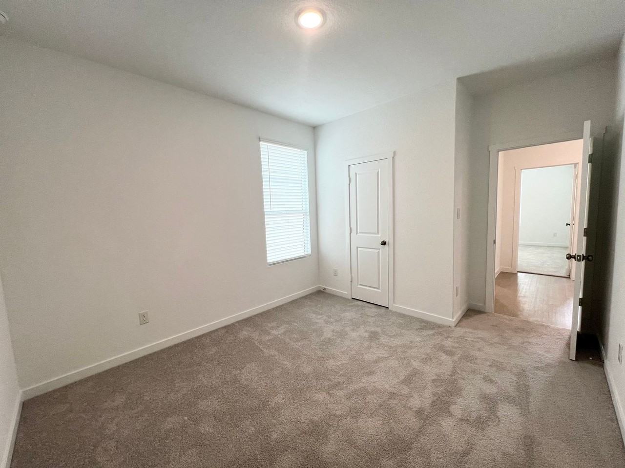 2669 Gallic Rooster - Photo 7 of 44