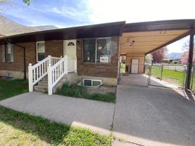 Spencer - Photo 1 of 1