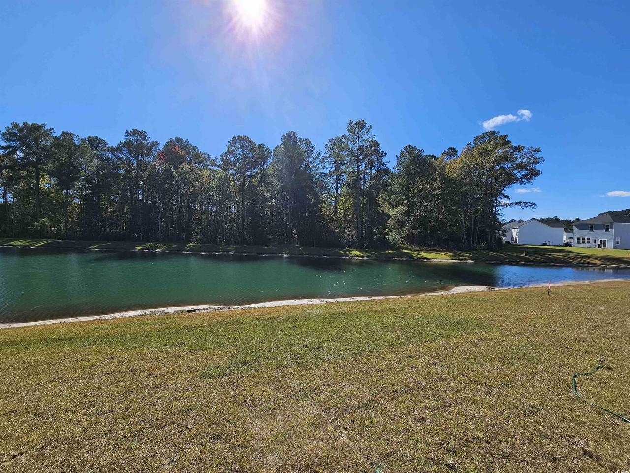 Sturdy Root Place - Photo 2 of 24