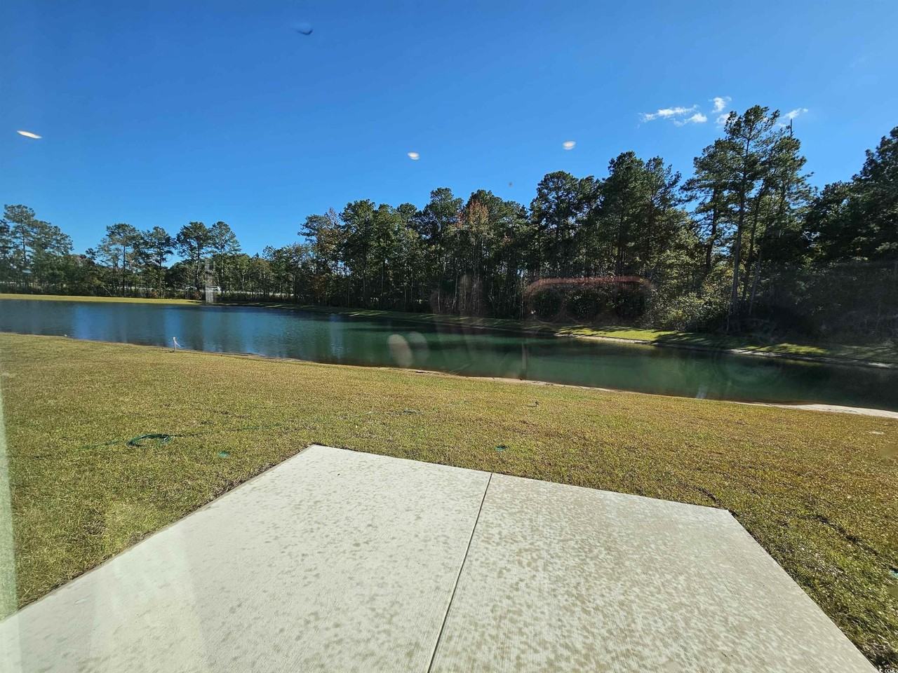 Sturdy Root Place - Photo 3 of 24