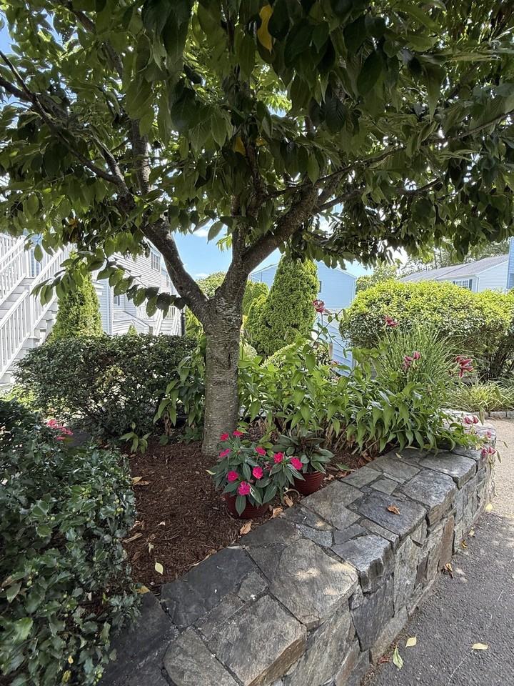 14 1/2 Fairview Ave #C7 - Photo 4 of 15