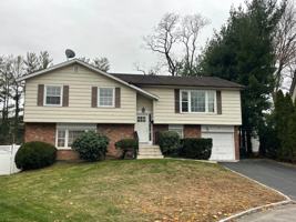 featured image of 18 Williams Street