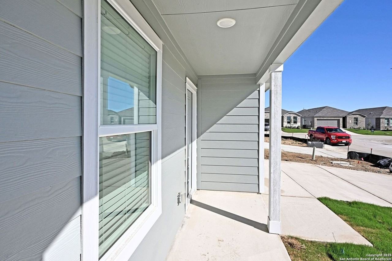 Stonechat - Photo 2 of 21