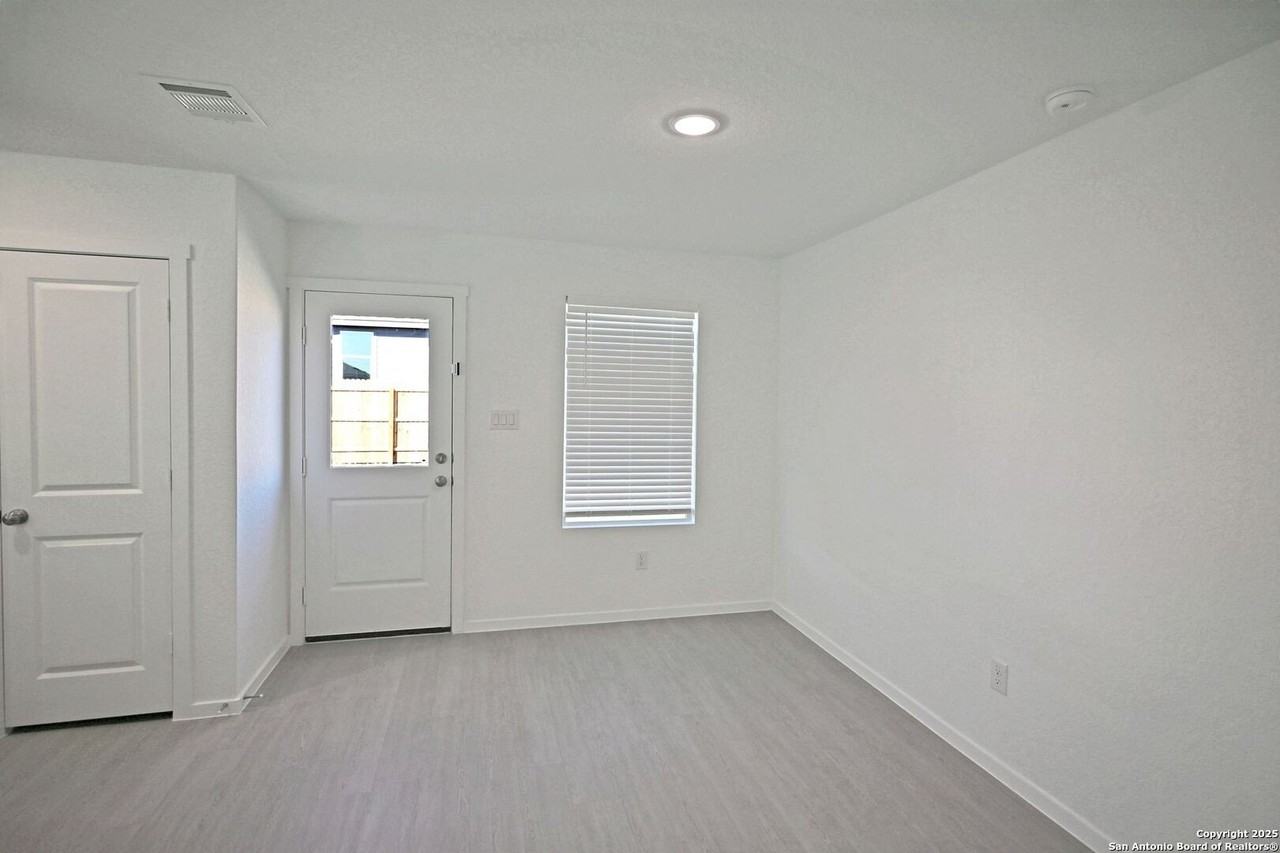 Stonechat - Photo 4 of 21