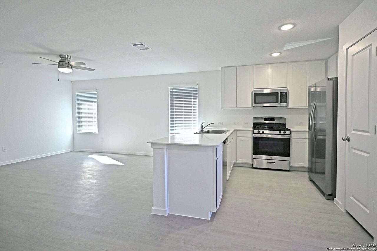 Stonechat - Photo 5 of 21