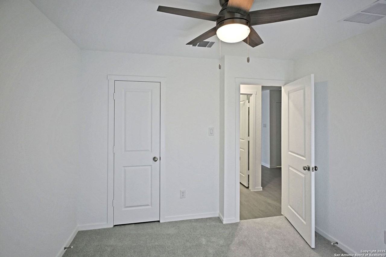 Stonechat - Photo 6 of 21