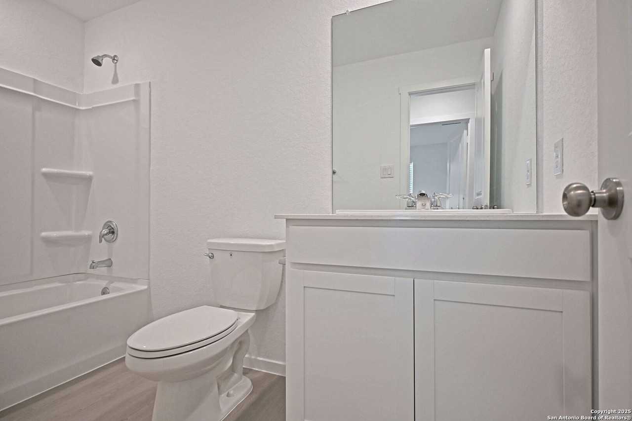 Stonechat - Photo 7 of 21