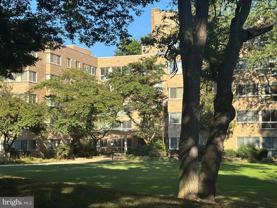 6445 Luzon Avenue Northwest #501 - Photo 1 of 1