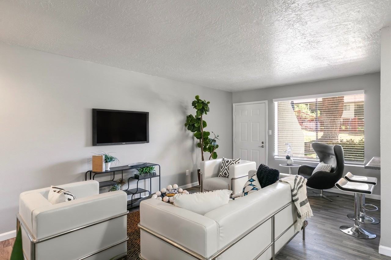 Rancho Verde - Photo 3 of 50