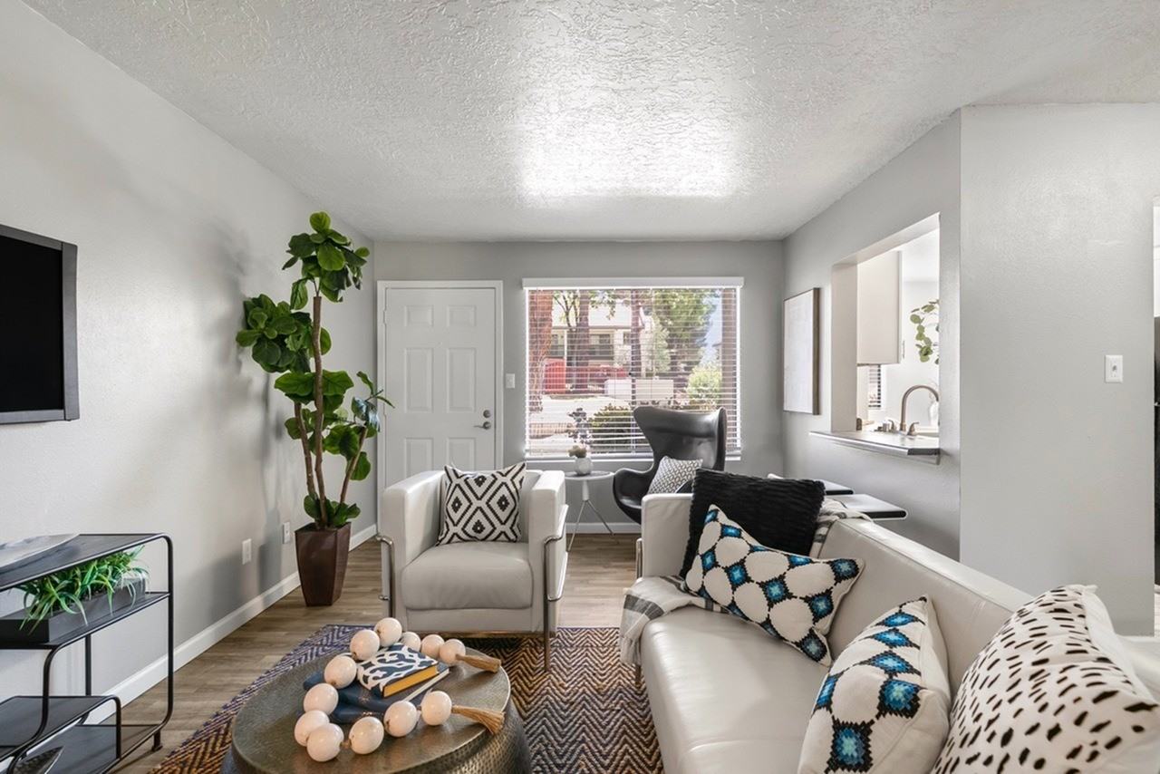 Rancho Verde - Photo 4 of 50