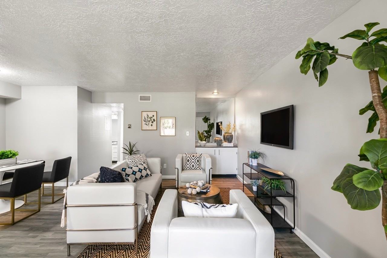 Rancho Verde - Photo 5 of 50