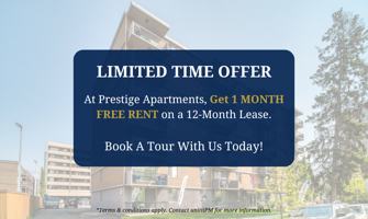 featured image of 824 13 Avenue SW