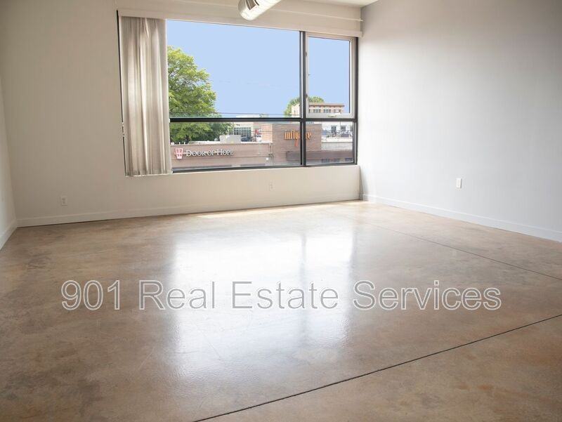 670 Madison Avenue #205 - Photo 4 of 15