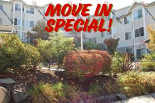 Oasis Apartments - Photo 1 of 1