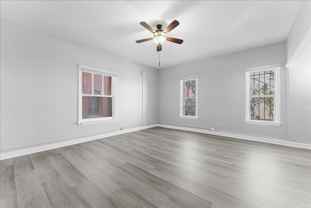 Winston & Neville - Photo 1 of 1