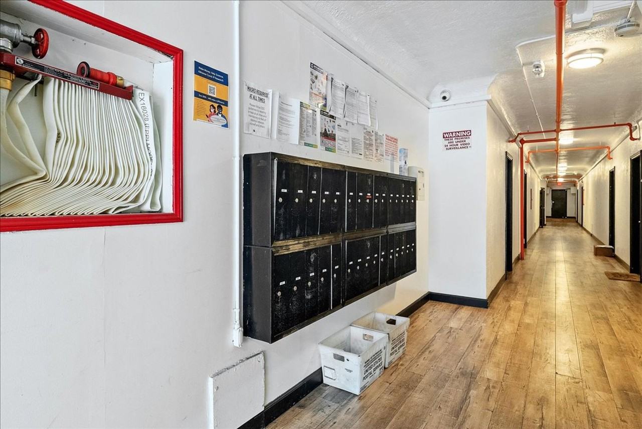 Winston & Neville - Photo 6 of 11