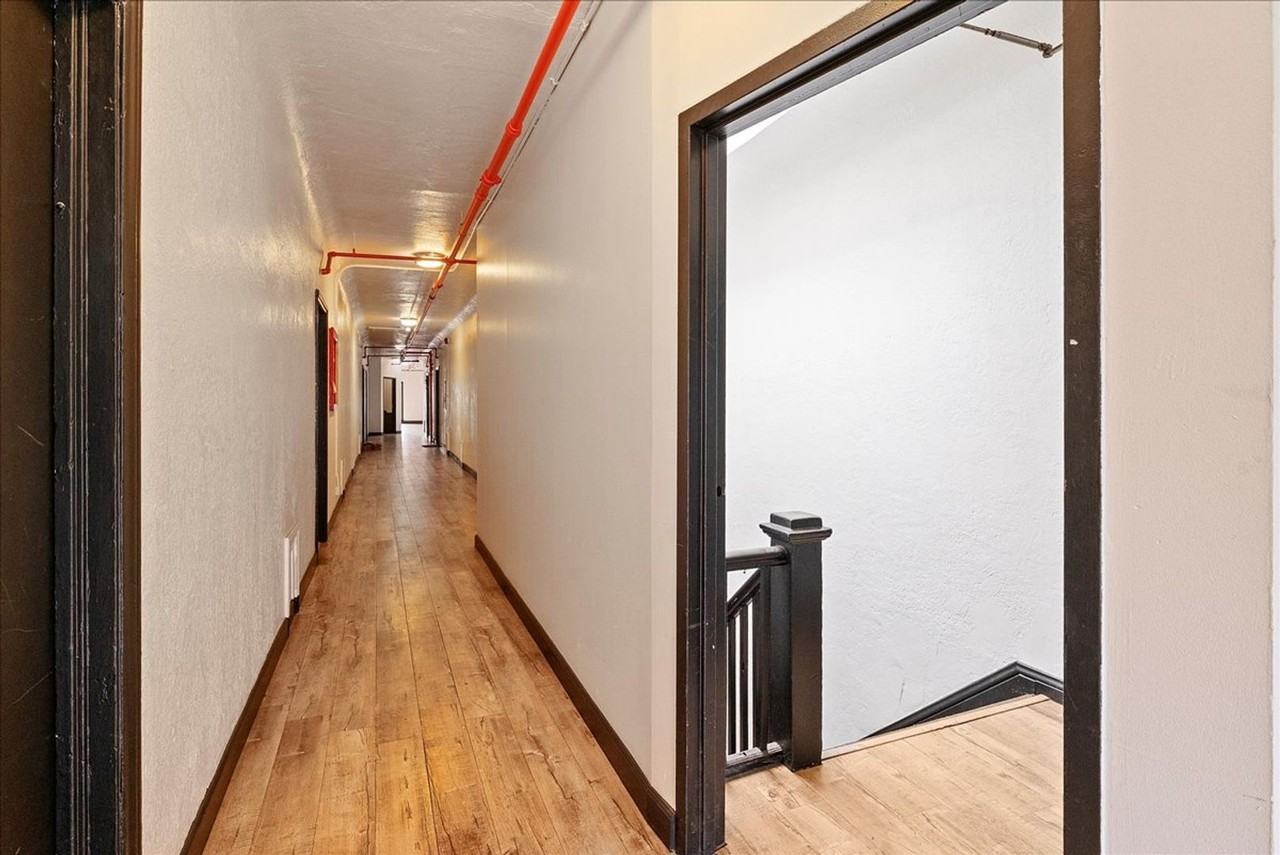 Winston & Neville - Photo 7 of 11