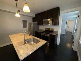 Tyson - Photo 1 of 1