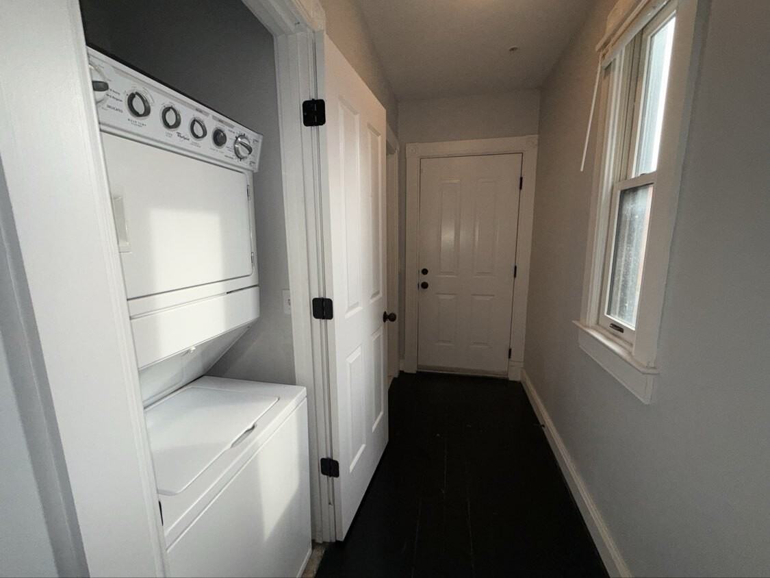 Tyson - Photo 7 of 7