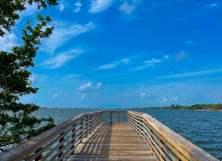 Wedgewood Apartments of Lake Worth - Photo 7 of 14