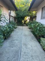 APT SAN MARCOS - Photo 1 of 1