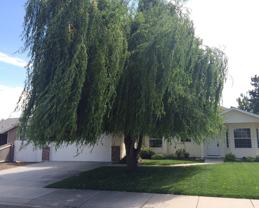 497 East Baldwin Street #NA - Photo 1 of 1