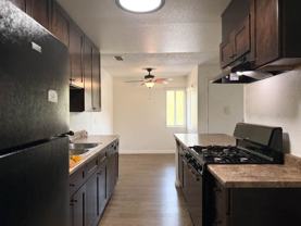 Peppertree Apartments | Convenience, Comfort & Community - Photo 1 of 1